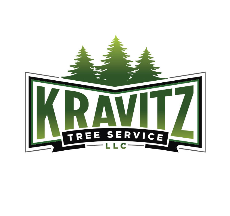 Kravitz Tree